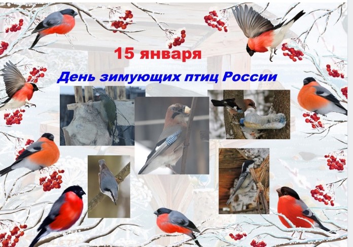 День зимующих птиц..