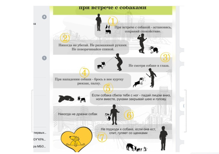 ОСТОРОЖНО! БРОДЯЧИЕ СОБАКИ..